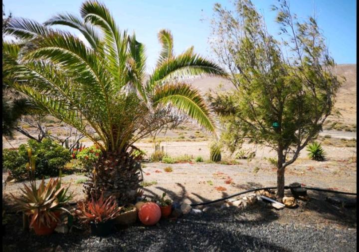 فيلا Pájaraفي Casa La Solapa المظهر الخارجي الصورة